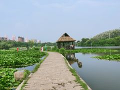 -前关湿地公园