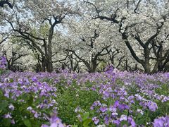 -江苏三台山国家森林公园