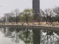 -西海子公园