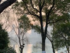 -橘子洲景区