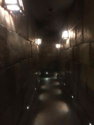 -翱翔飞越地平线