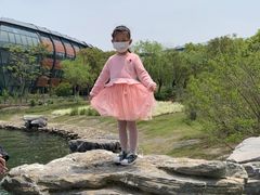 -上海滴水湖皇冠假日酒店