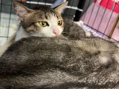 -谜盒子奇幻密室(南屏店)