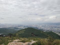 -长虫山生态公园风景林