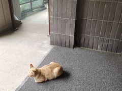 -上海怡沁园度假酒店
