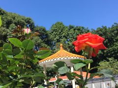 -人民公园(罗湖区)