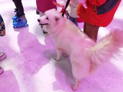-西安银基冰雪世界