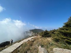 -白草畔自然风景区