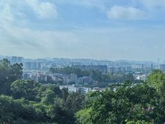 -火炉山森林公园