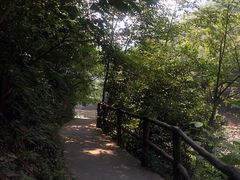 -浙西大龙湾