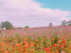 -桂林园博园