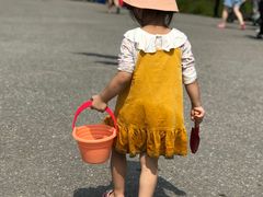 -南汇嘴观海公园