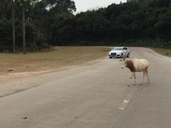 -广交会威斯汀酒店