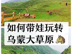 -乌蒙大草原