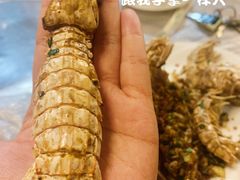 -东极岛海鲜