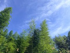 -虎啸峡漂流