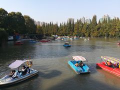 游乐设施-逍遥津公园