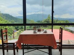 -天强农家菜馆