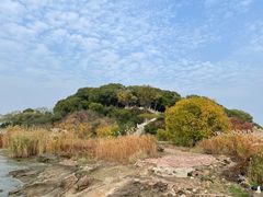 -上海市保健医疗中心