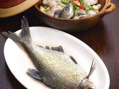 -美极鲜食坊(宝安南路店)