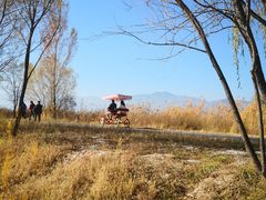 -野鸭湖国家湿地公园