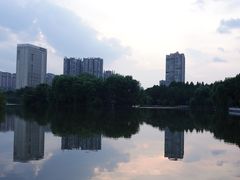 -凤池园