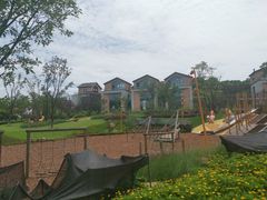 -铁山坪森林公园