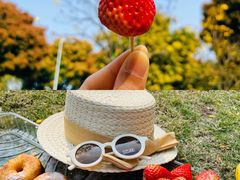 -二沙岛艺术公园