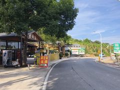 -青龙山国家森林公园