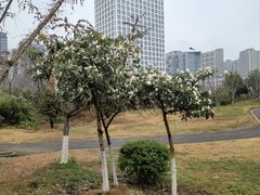 -龙潭水乡