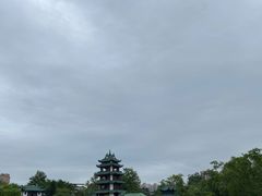 -桂湖森林公园