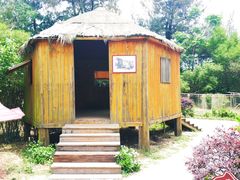 -北海金海湾红树林生态旅游区