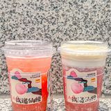 刘耕宏女孩的福音‼️好喝不胖0卡糖鲜果茶