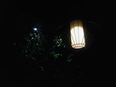 -舌尖上的食缘花园主题餐厅