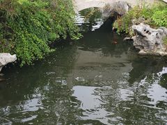 -杭州西湖柳莺里酒店·闻莺厅