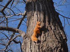 -终南山南五台景区