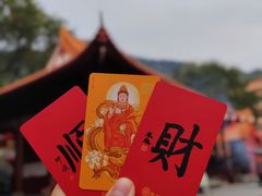 -深圳仙湖植物园