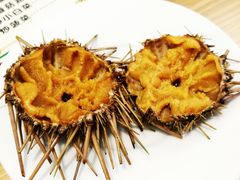 -海胆小馆(东北水饺·春柳店)