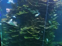 -泉城欧乐堡海洋极地世界