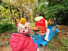 -呀路古热带植物园