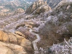 -北京凤凰岭