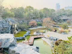 -上海吴淞炮台湾国家湿地公园