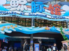 -海合安成都极地海洋公园