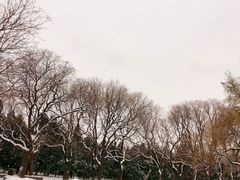 -天坛公园
