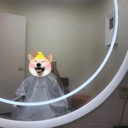 -Amo la Diva造型