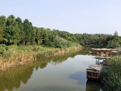 -上海长兴岛郊野公园