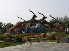 -武清南湖绿博园