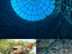 -中国西峡恐龙遗迹园