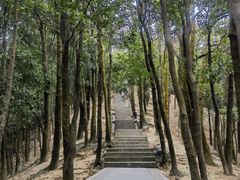 -阳台山森林公园