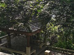 -茶颜悦色(岳麓山顶店)